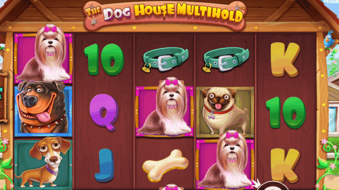 The Dog House Multihold Kulübe Değil, Saray Burası!